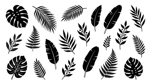 Assortment of black tropical plant leaves, perfect for summer graphic elements