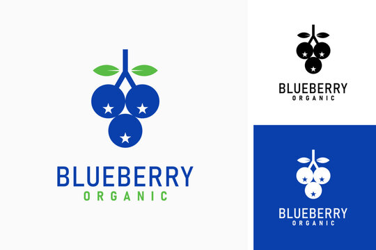 Blueberry logo symbol icon design