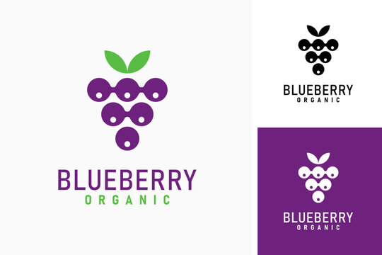 Blueberry logo symbol icon design