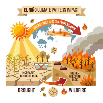 El Ni&ntilde;o climate pattern impacts: drought and wildfire risks