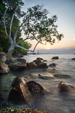 View of Changi Boardwalk with a leaning tree and large rocks along the shoreline at sunset Singapore, Singapore.