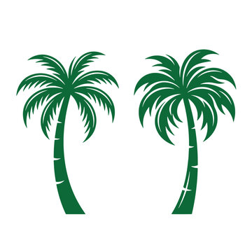 Green palm tree silhouettes set of two icons top view style with silhouette tropical botanical vacation illustration decoration environment landscape exoticism paradise