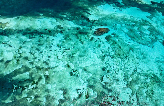 Aerial view of the vibrant coral reef and crystal clear turquoise waters showing intricate underwater patterns and shallow sandbars Guanaja, Bay Islands Department, Honduras.