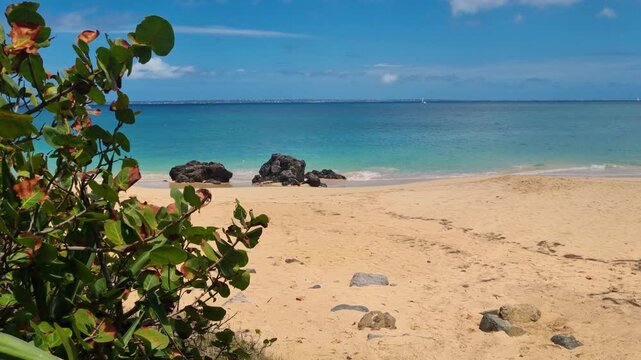 Beautiful view of remote Happy Bay Beach on St. Martin, featuring turquoise Caribbean waters, white sand, and tropical vegetation swaying in the wind on a sunny day in paradise