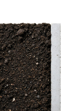 Close-up of dark rich soil with roots