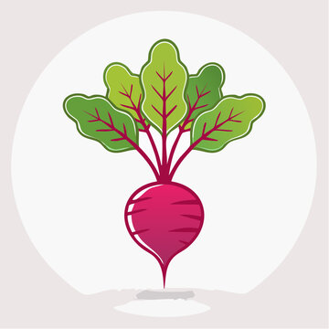 Stylized illustration of a fresh beet with green leaves