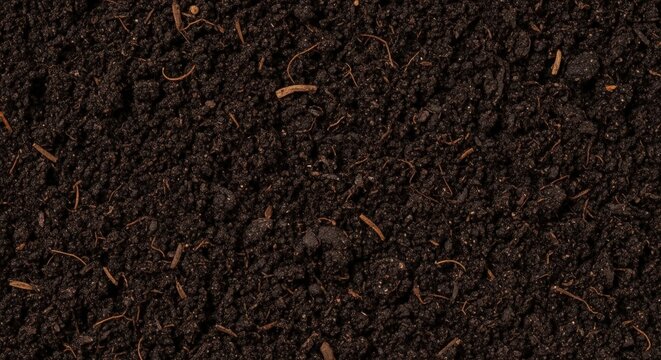 Rich dark brown fertile soil with organic matter and moist texture creates a Wallpaper Background image