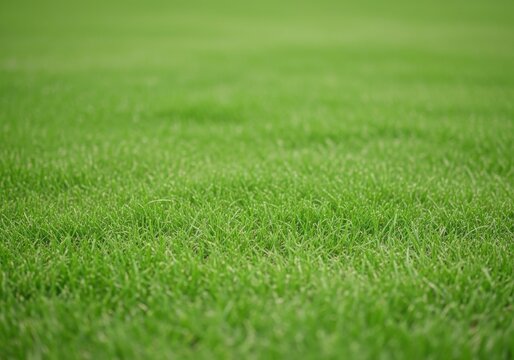 Green pixelated field with blurred sky background