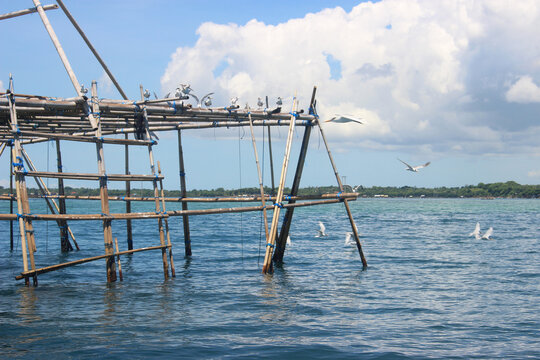 A traditional bamboo fishing platform known as bagang built over the calm blue sea with many seagulls perched and flying around it under a cloudy sky.