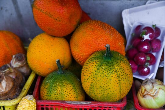 A close up view of exotic fresh qua gac or gac fruits inside a red plastic basket at a traditional street fruit market stall in Hoi An Vietnam