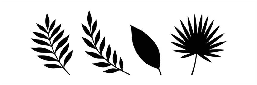 Collection of Tropical Leaf Silhouettes for Decorative Use