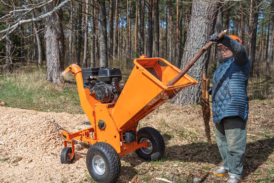 A man is feeding branches into a wood chipper to create mulch in a forest. He is wearing safety glasses and a helmet The wood chipper is orange and has a pile of wood chips next to