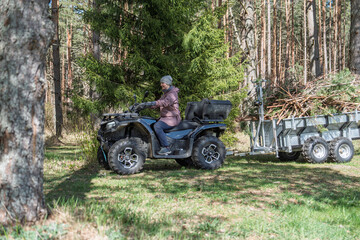 Fototapeta premium A woman pilots an ATV pulling a trailer loaded with tree branches along a grassy path in a forest in Estonia, the vehicle framed by tall trees and the trailer visible behind.
