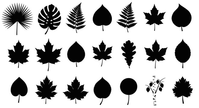 Set of black leaf silhouettes on a white background.