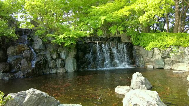 新緑の木道と滝
