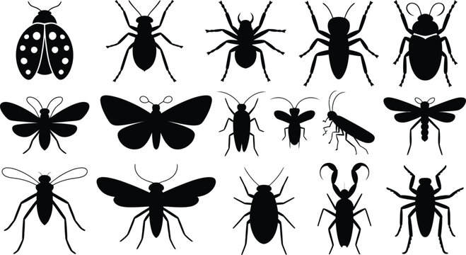 Insects and arachnids silhouettes vector icon set