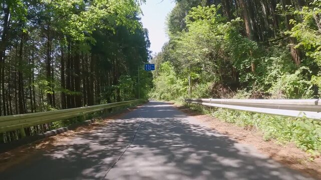 ロードバイク　車載映像