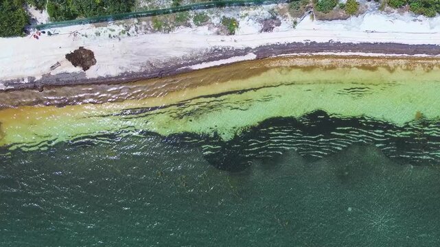 olas en la playa, toma a&eacute;rea mar cristalino en Canc&uacute;n