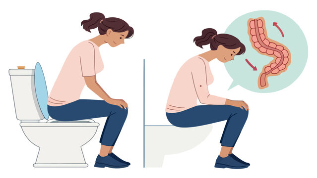 Woman showing digestive issues while sitting on a toilet with digestive problems stomach ache irritable bowel syndrome intestine illustration digestive system flat design single person diarrhea