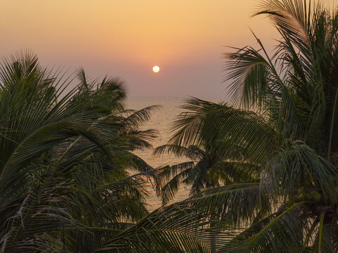 Aerial view of a golden sunset over the calm ocean framed by lush green palm tree leaves and tropical foliage in Phu Quoc, An Giang, Vietnam.