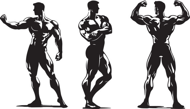 Bodybuilder silhouette vector set, muscular male athletes posing in gym fitness style, 3 black and white bodybuilding character illustrations