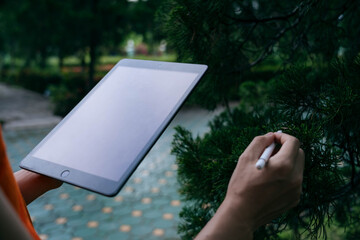 Using Tablet for Plant Identification in Forest – Digital Nature Exploration Concept  © Dara-Sroi