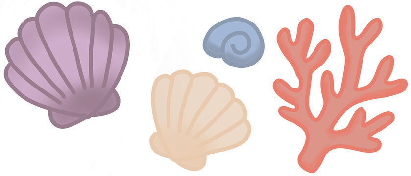 Cute hand-drawn sea shells and coral elements set