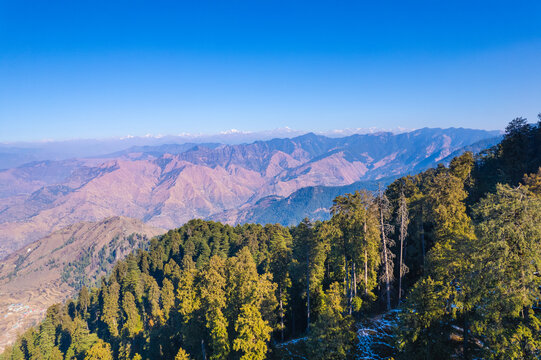 Aerial view of the lush green mountain ridges and dense coniferous forests under a clear blue sky in the Himalayan foothills Chakrata, Uttarakhand, India.