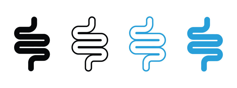 Human intestine and digestive system vector icon set, medical anatomy symbols illustrating stomach, intestines, and gut health for healthcare, biology education, clinics, and scientific design