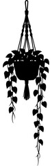 Black Silhouette of a Hanging Trailing Pothos Houseplant in a Macrame Pot Hanger Isolated on White © Rezowan 
