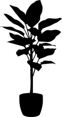 Black Silhouette of a Potted Indoor Houseplant with Large Leaves Isolated on White Background © Rezowan 