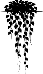 Black Silhouette of Hanging Trailing Pothos Plant with Heart Shaped Leaves Vector Illustration on White Background © Rezowan 