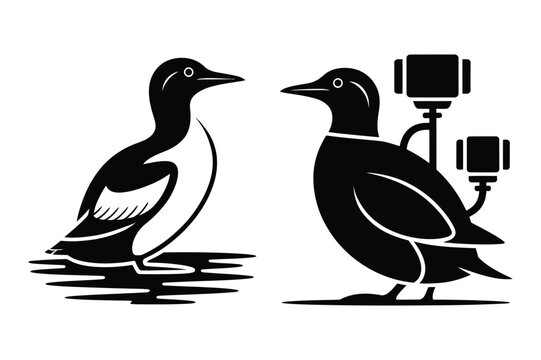 Standing common murre birds, one with attached camera equipment vector illustration