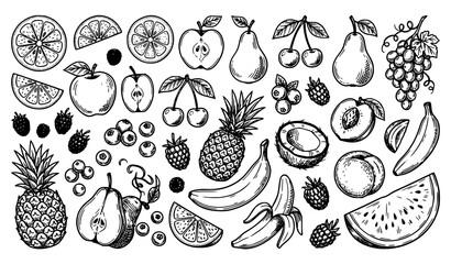 Vintage Fruits and Berries Sketch Doodle Vector Set Black White Food Illustration © Aslam