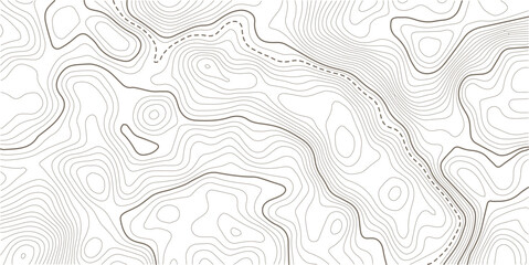 Topographic line contour map background, geographic grid map.Abstract lines background. Contour maps topo contour map on white background, Topographic contour lines.  © MITA
