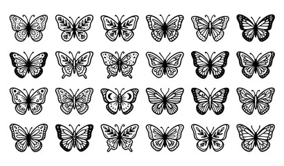 Ornamental Butterfly Line Art © GaziAbdur
