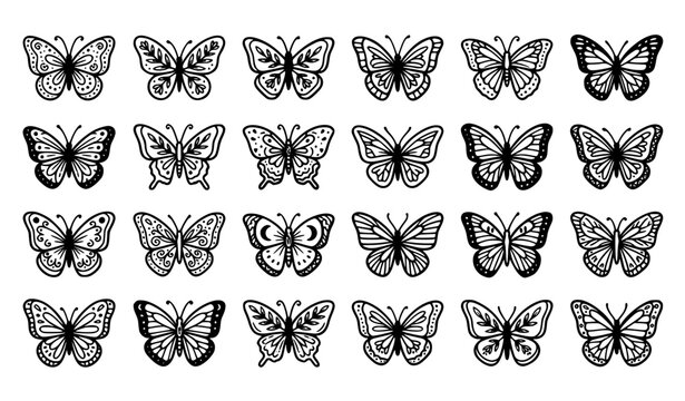 Ornamental Butterfly Line Art