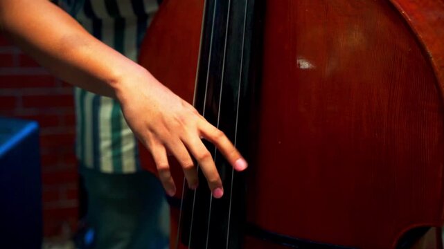 Cinematic Close Up of Musician Fingers Plucking Upright Bass Strings
