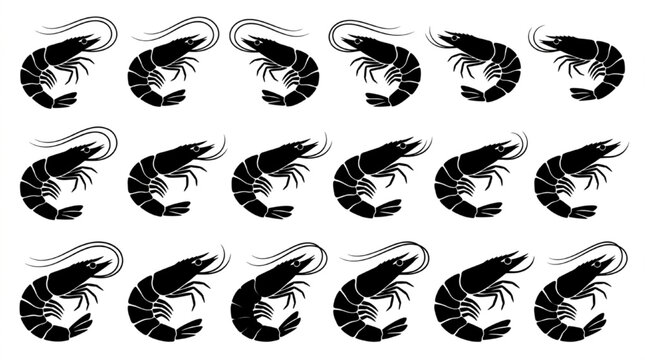Black and white shrimp illustration set in clean vector style isolated on white background, Vector