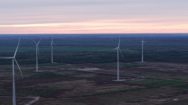 Wind turbines sping across open farmland beneath soft sunset sky, drone aerial ascend