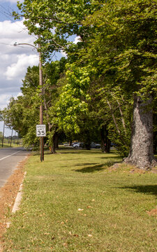 A 55 mile per hour speed limit sign by the highway lined with trees on a sunny spring day in Louisiana