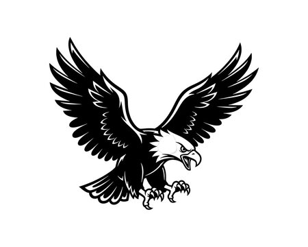 Powerful eagle in aggressive pose, black and white drawing, ideal for logos and branding