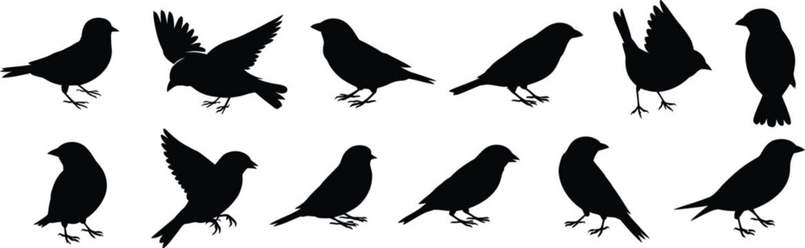 Collection of black bird silhouettes in various poses