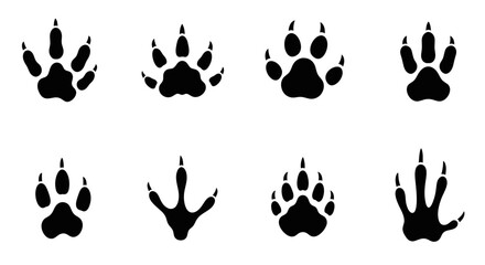 Fototapeta premium Collection of Animal Paw Prints, Wildlife Tracks, Mammal Footprints