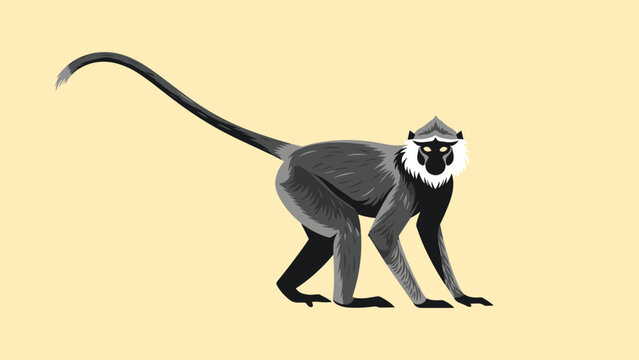 Detailed illustration of a nilgiri langur monkey with a long tail and white ruff on a plain light beige background.