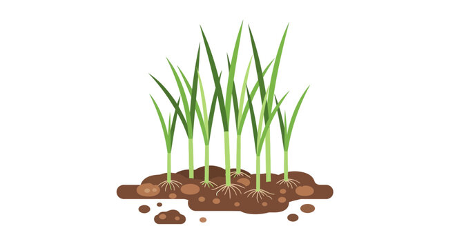 Green grass sprouts with roots in soil, illustration