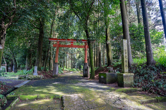 日光神社の参道の風景（曽於市財部町）