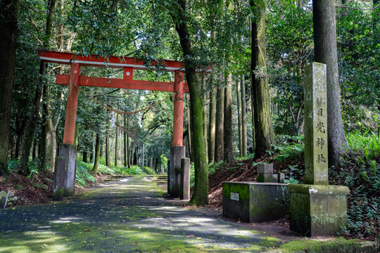 日光神社の参道の風景（曽於市財部町）