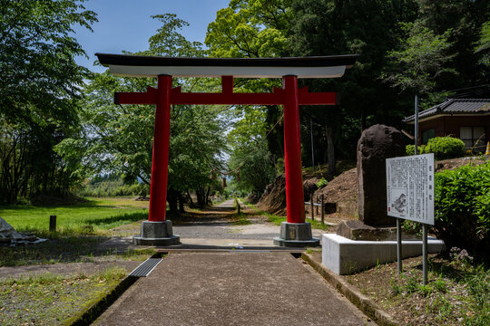 住吉神社の参道の風景
