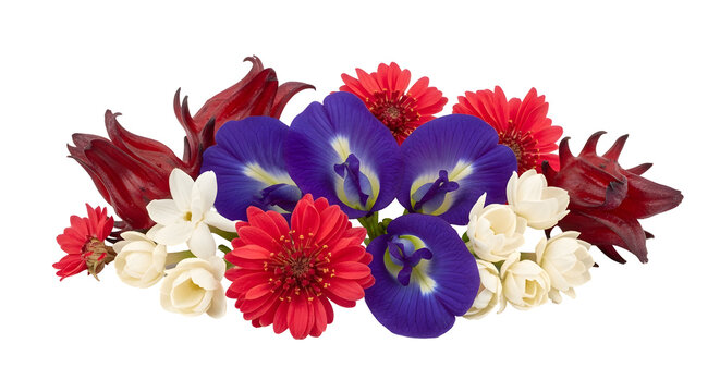 Vibrant arrangement of fresh butterfly pea flowers roselle and jasmine blossoms.